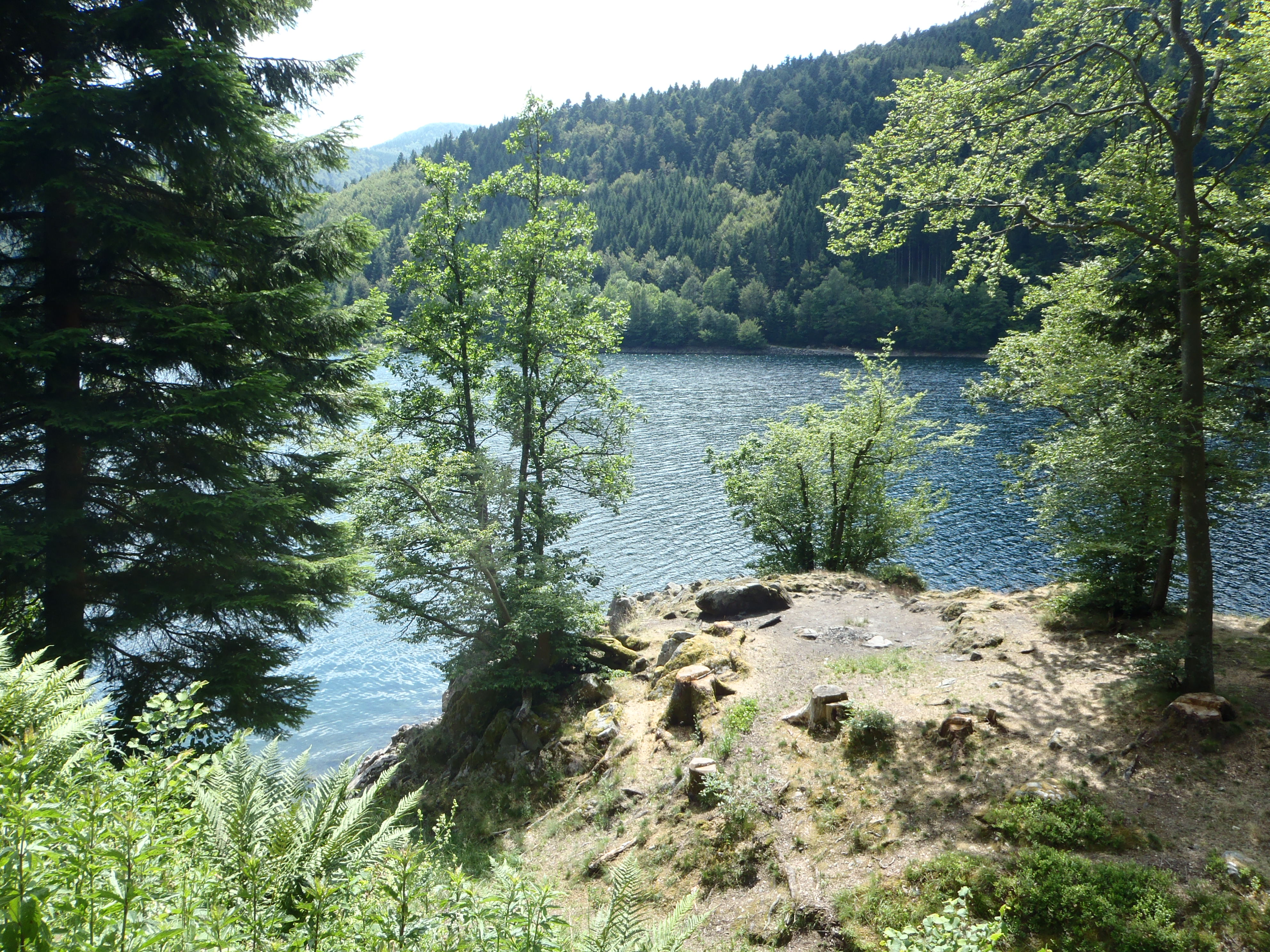 piscine naturelle gaggenau