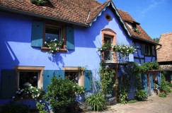 Visite des jardins de la ferme bleue