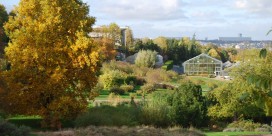 Jardin-du-montet