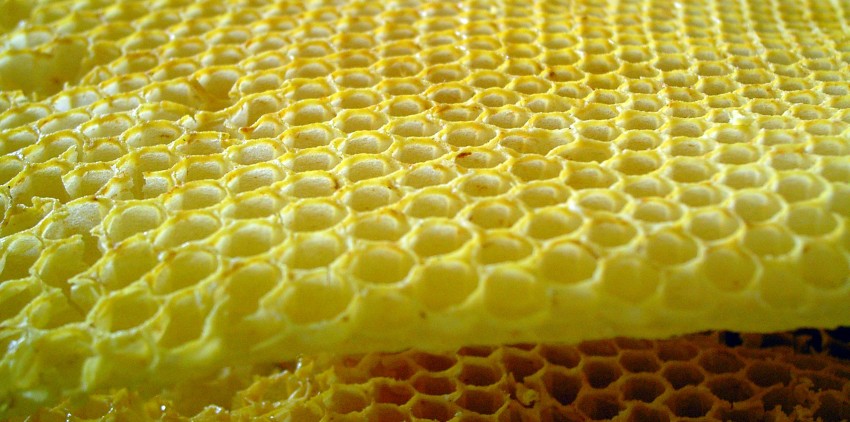 Honeycombs-rayons-de-miel-3
