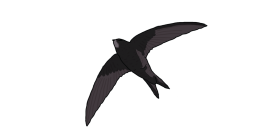 Martinet