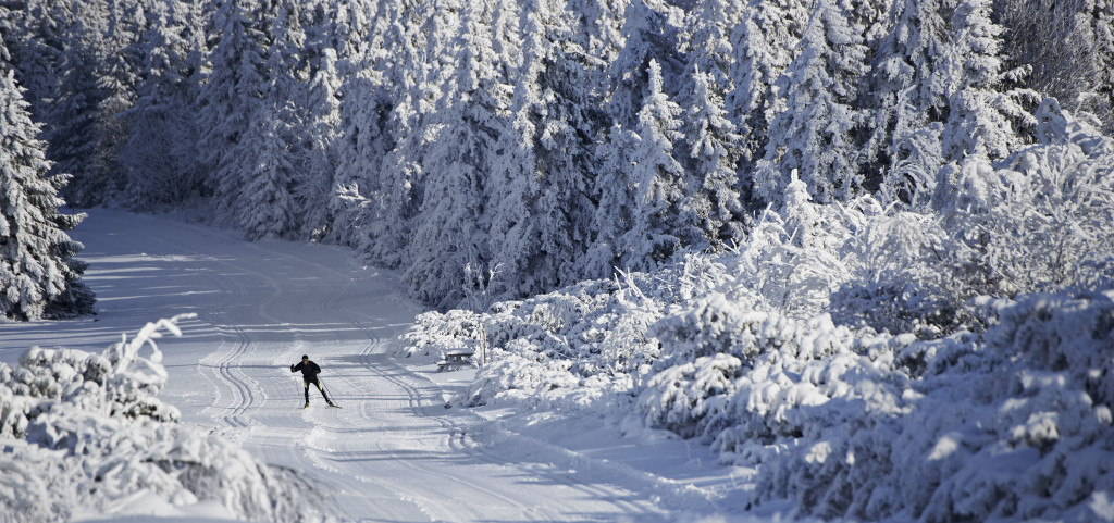 neige paysage 027