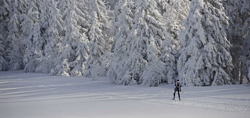 ski de fond 004