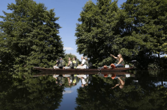 La sarre sauvage et gourmande