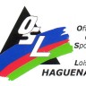 Haguenau_OSL_logo