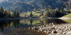 Lac du Forlet (lac des truites)