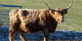 Parc animalier et de découverte de la nature du Mundenhof