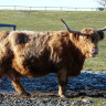 Parc animalier et de découverte de la nature du Mundenhof