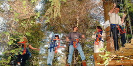 Parc Alsace Aventure