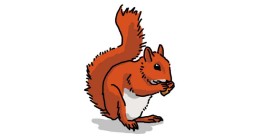 La dictée-poème : Roux l’écureuil