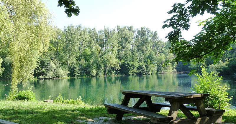 Forêt de la Robertsau