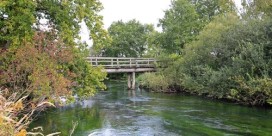 Réserve naturelle de l’île de Rhinau