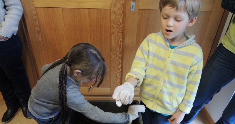 Lombricompostons avec les enfants