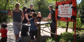 journee decouverte au zoo