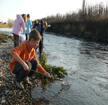 petit monde de l'eau