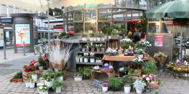 Le Bar des Plantes
