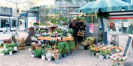 Rendez-vous chez Orèle, au Bar des Plantes !