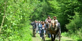 Sentier nature entre l’Écomusée et le Parc du Petit Prince