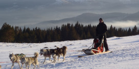 Chemins du nord, La Petite Finlande