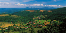 Les vertes vallées d’Alsace
