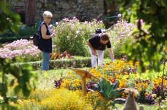 Festival International des Jardins Métissés