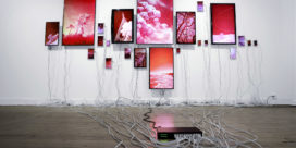 Biennale d’Art Contemporain de Strasbourg