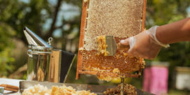 Secrets de miel