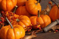 Festival des citrouilles et autres légumes d’automne