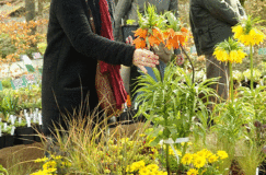 Marché aux plantes du Zoo de Mulhouse