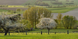 S’ALLONGER DANS L’HERBE ET REGARDER LE CIEL : LA GRANGE AUX PAYSAGES