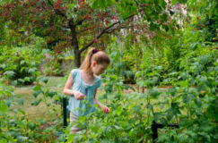 ça fourmille au jardin bio