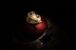 Visites nocturnes à la lampe torche