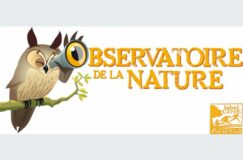 FORÊSTIER JUNIOR