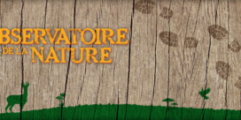 Retour aux sources : Observatoire de la nature