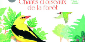 ZOOM SUR… CHANT D’OISEAUX DE LA FORÊT