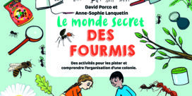 LIRE ET JOUER : ZOOM SUR…LE MONDE SECRET DES FOURMIS