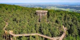 Le chemin des Cimes
