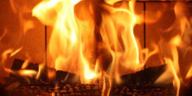 ON FAIT FEU DE TOUT BOIS