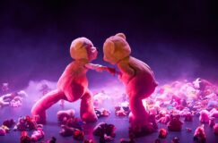 L&rsquo;ARRIÈRE PAYS