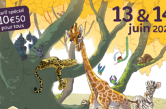 Groaaar ! Le Festival de la BD au Zoo