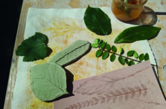 Traces et empreintes