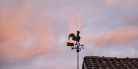 Le Coq