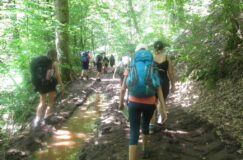 Trapp Camp